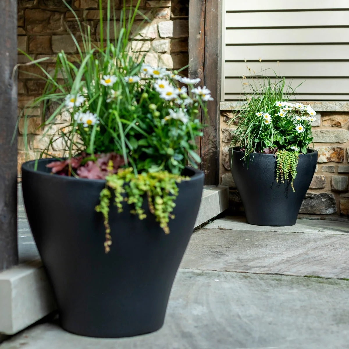 Fernway Planter™ 2 Pack - Image 7